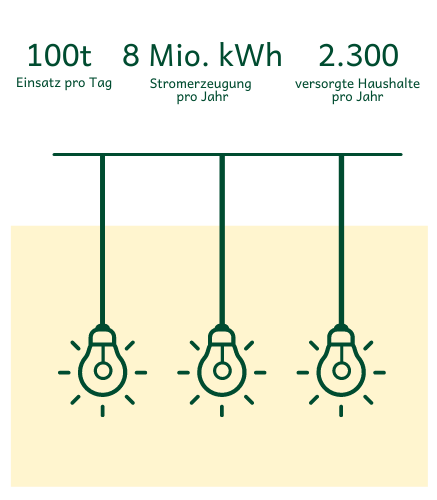Drei gezeichnete Glühlampen und Informationen zu unserer Biogasanlage: 100t Einsatz pro Tag, 8 Mio kWh Stromerzeugung pro Tag, 2.300 versorgte Haushalte